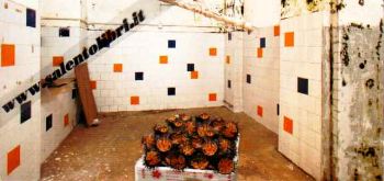 Visualizza i dettagli per Gallipoli. Mercato coperto. Cartolina Progetto d'arte contemporanea INITINERE Immagine di Gallipoli. Mercato coperto. Cartolina Progetto d'arte contemporanea INITINERE